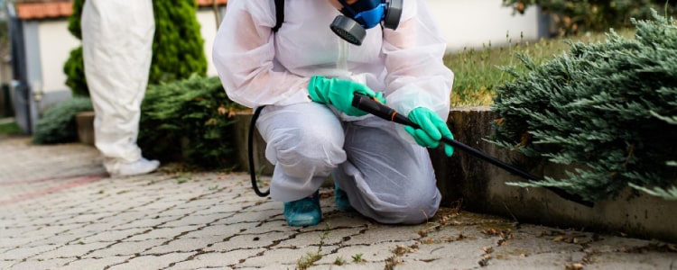 Residential & commercial Pest Control